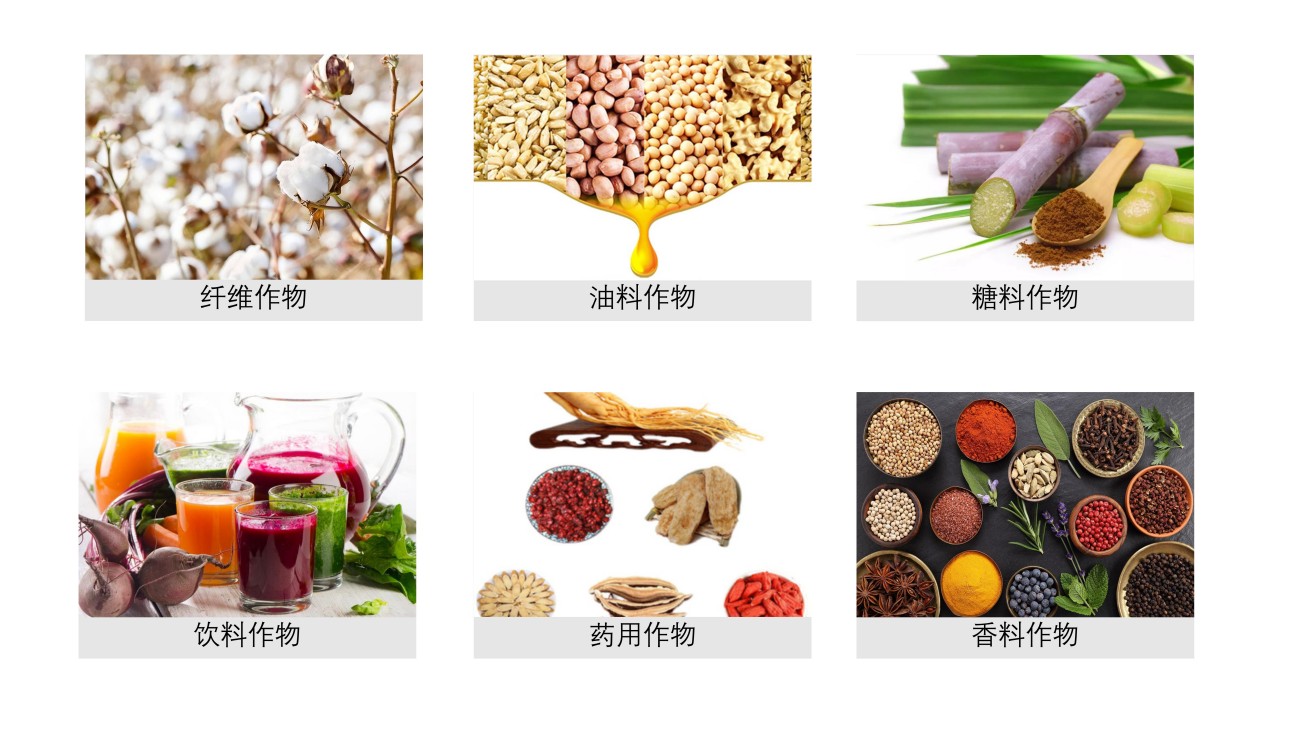 新建 Microsoft PowerPoint 演示文稿_02.jpg